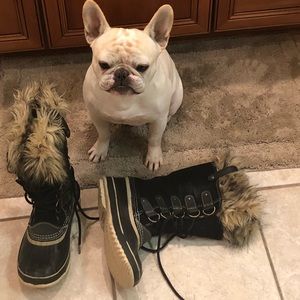 Sorel Joan of Arctic boots, not a French bulldog